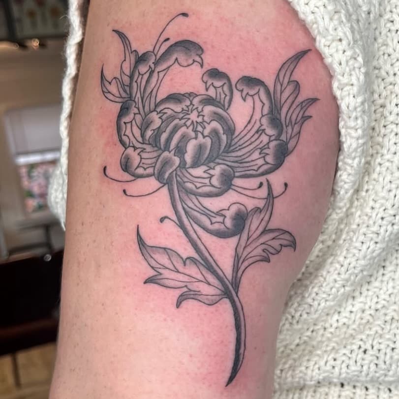 Sweet #chrysanthemum piece by @malee.inks 
To book an appointment with Malee DM her directly through her Instagram page @malee.inks 

#blackandgreytattoo #flowertattoo #portlandtattoo #pdxtattoo #portland #pdx #tattoo #tattooed #tattoos #rosecity #tattooingpdx #oregontattoo #oregon #portlandtattooartist #portlandtattooers #oregontattooartist #portlandtattooshops #flatirontattoo