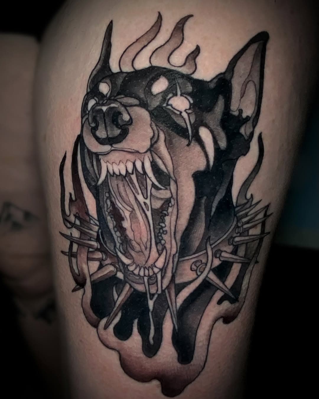 This is the dawg I have in me but I’m cursed to be 5 foot and never taken seriously when I’m angry. The homie @mc_kinsley came through and scooped up this Doberman flash from my collection! Thanks so much dude, I love hanging out with you 💕
.
Most of this is a week healed, a small bit of the collar and flames we finished on a separate session because I had to leave for the day unexpectedly. He was a little flaky but we put on some corn huskers lotion to cut down the dryness and got a pretty good photo! Cheers y’all
.
#blackandgrey #blackandgreytattoo #dobermantattoo #dogtattoo #baddog #darktattoo #metaltattoo #flashtattoo #tattooflash #neotrad #neotradi #neotradtattoo #neotraditional #neotraditionaltattoo #neotradicional #neotradworldwide #punktattoo #tattoopunks #dawg