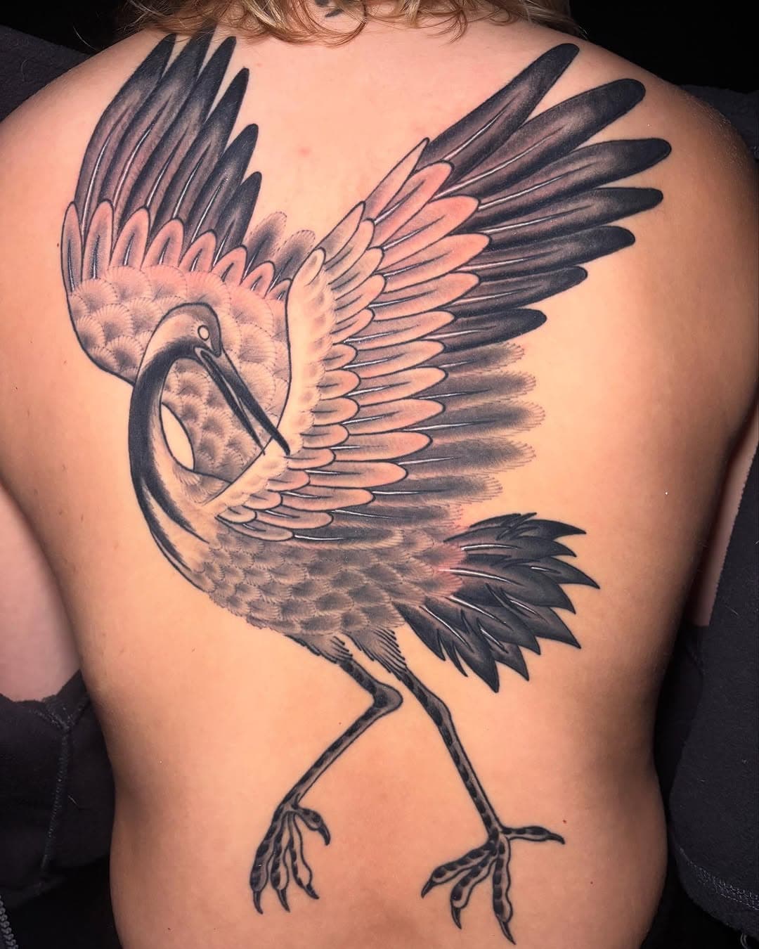 Crane backpiece for Lonneke
Thanks for the trust
•
•
•
•
•
•
#blackandgrey #tattooink #skullblackandgrey #negro #art #mexico #photooftheday #blacktattoo #craneflower #craneseries #tattoodesign #realistictattoo #birdphotos #craneplus #sandhillcranes #wadingbirds #origamicrane #waterbirds #japan #naturelovers #birdtattoo #herfeietv #kraanvogel #birding #negrotattoo #cranemachine #achurado #tattoolove #cr #veracruztattoo