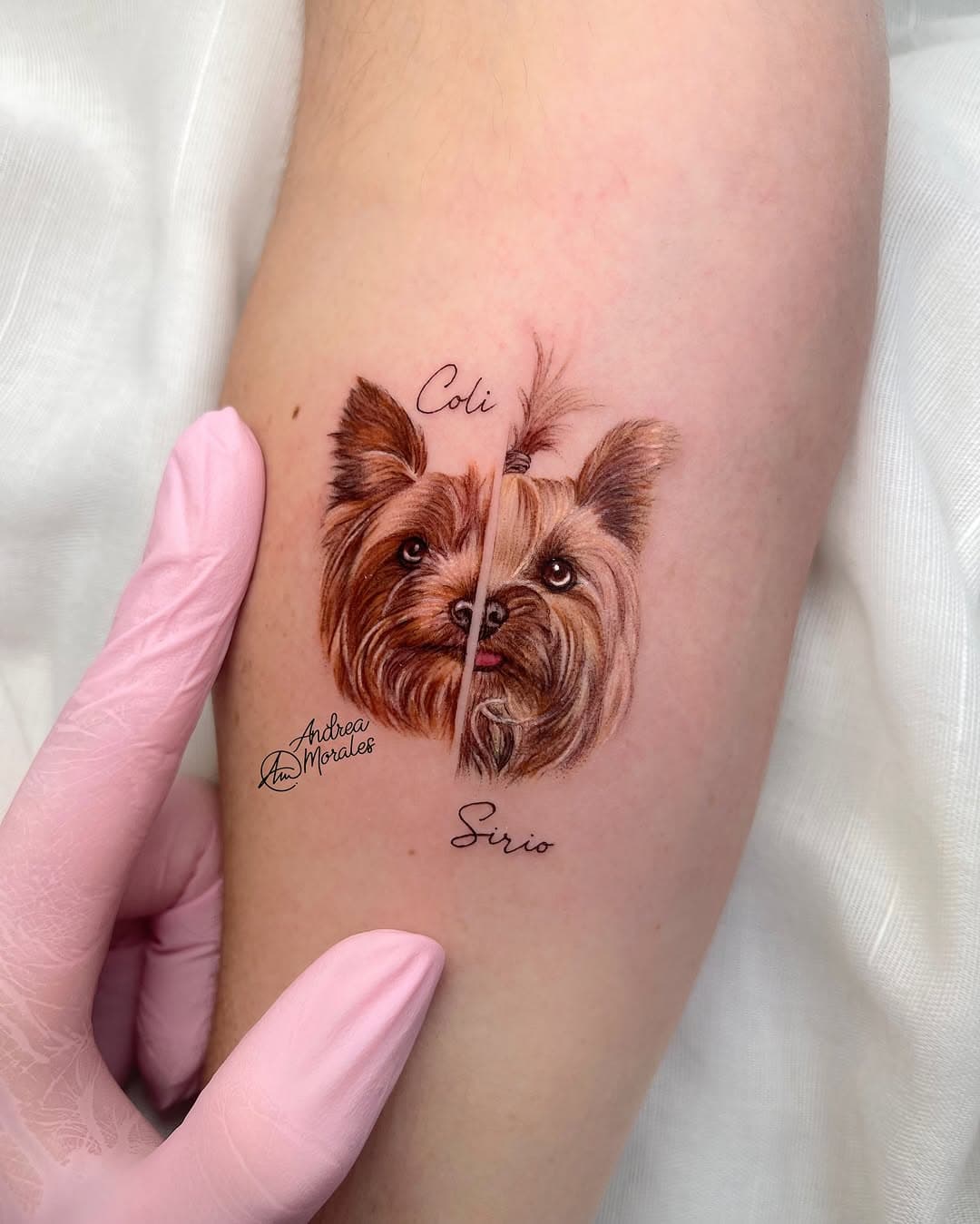 ¿Tus mascotas son lo suficientemente importantes para ti hasta el punto de tatuártelas? ❤️
Mis clientes confían en mi capacidad de reflejar lo más importante para ellxs: sus amores gathijos o perrhijos.
Hay personas que no tienen hijxs de carne y hueso, pero sí los tienen de pelo y 4 patas. Para mí, actualmente que no tengo hijxs, pero mis 9 gatos son como mis hijxs. Los cuido igual, les quiero igual y les consiento igual, ya que para mi, son mi vida.
¿No os pasa que vuestras mascotas son una parte de vuestro corazón y si pensáis en su despedida se os coge un pellizco en el estómago? 😓
¿Quién de aquí tiene mascotas en casa? Os leo súper atenta a ver quién tiene más amor mascot por repartir! ❤️
Gracias a mi cliente por confiar sus perrhijos Coli y Sirio en 5cm, ya que detrás de este tatuaje va mi nombre y eso será para toda la vida 🙏🏼🩷
●
📮 Citas/info al WhatsApp: + 34 605.79.47.47
📍 Visítame en mi propio estudio: @958tattoo 
●
🍃 Usando productos VEGANOS 🌱 :
• Agujas: @fineline_tattoocartridges 
• Pigmentos: @radiantcolorsink 
• Gel transparente: “Photo-finish” de @tattooproton 
• Distribuidora: @akirabodyart 
• Crema de curación “958 Tattoo cream”: @easykitsspain 
●
Mi propio hashtag: 👉🏽 #ArtOfTheTattoo 👈🏼
●
#MicrorealismoTattoo #Microrealism #Microrealismo #Microilustralismo #Microilustracion #RadiantColorsInk #RadiantColorsCrew #RadiantColorsEurope #Thebestspaintattooartists #Tattoo #Tatuaje #FineLine #antwerp #antwerpentattoo #antwerpen #antwerptattoo #bruselstattoo 
• • • • • • •