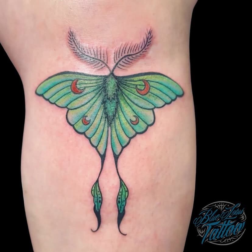 Gorgeous color luna moth done by our wonderful tattoo artist Kaylee! Kaylee’s books are now open for tattoos at our Downtown studio! 🌙🦋
~
To book with Kaylee, give our Downtown Location a call at 608.284.0870! Make sure to follow Kaylee’s new Instagram, @inkby_kay for more flash and inspiration! ✨
.
.
.
.
#bluelotustattoopiercinglounge #bluelotustattoo #madisonwitattooing #wisconsintattooartist #tattooartist #tattooshop #tattoostudio #tattooideas #tattooinspiration #tattooart #tattoodesign #tattooed #lunamoth #lunamothtattoo #colormothtattoo