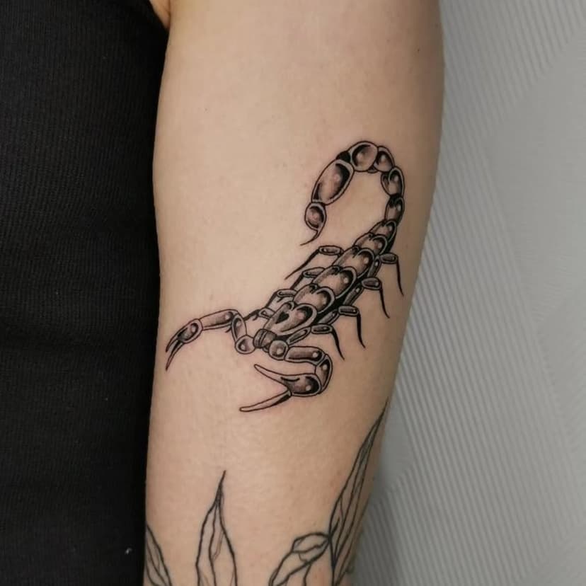 Petit scorpion 🦂♏ sur une scorpionne par Orlane 🙂 
Contact : @ojika.onirik 

#scorpio♏️ #scorpiontattoo #darktattoos #blacktattoo #igersgrandest #igersmetz #igersnancy #igerslorraine