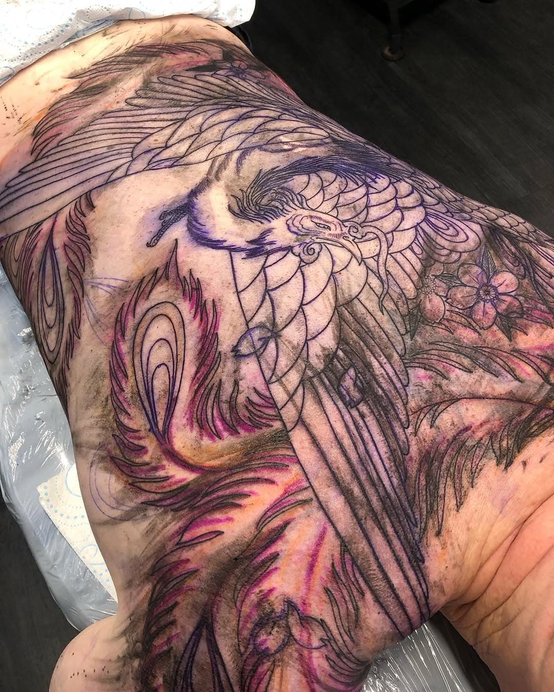 Lines downnnnnn 🥵🤣 #cosmictattoo #japanesetattoo #japanesetattoos #japanesesleeve #backtattoo #backpiece #pheonix #pheonixtattoo #colchestertattoo #essextattoo