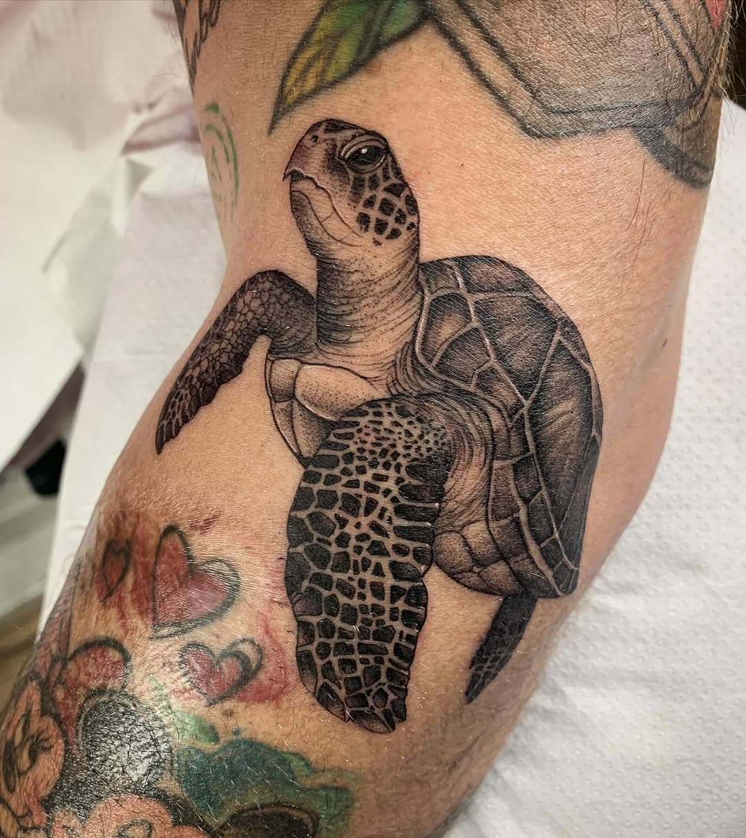 Muchas gracias como siempre Pakito @ciguis37 ❤️
.
.
.
. Realizado con @black_mambo_needles 
.
. #blondetattoo #blackwork #blackworktattoo #tattoomagazine #ink #inked #inktattoo #newtattoo #turtle #tatt #tatts #tinta #tatted #tattoo #tattoos #tatuaje #tatuajes #tatuadores #tattooartist #tattooart #tattooing #tattooink #tattooist #tattooed #tattooedgirls#tattoostyle #tattoomodel #fineline #finelinetattoo #turtletattoo