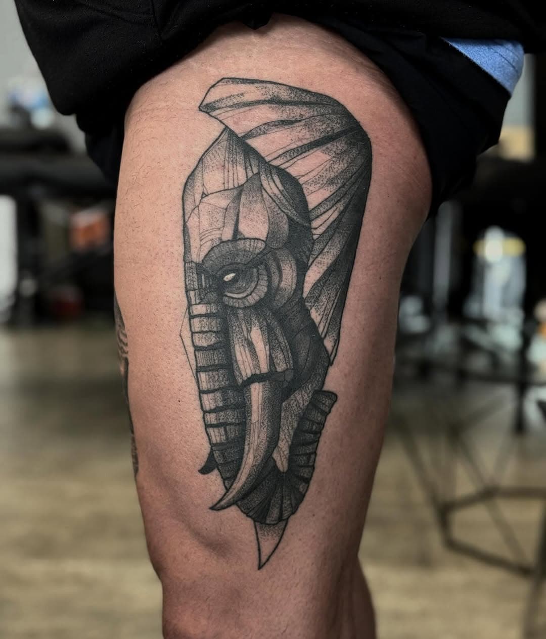 Healed tattoo I did a few months ago
.
.
.
.
.
#dotwork #dotworktattoo #dotworktattoos #stippletattoo #elephant #salemoregon #tattooart #tattooartist #pdxtattoo #oregontattoo #art #artist #tattoo #tattoos #tattooed #tattooideas #portlandoregon #oregon #blackandgreytattoo