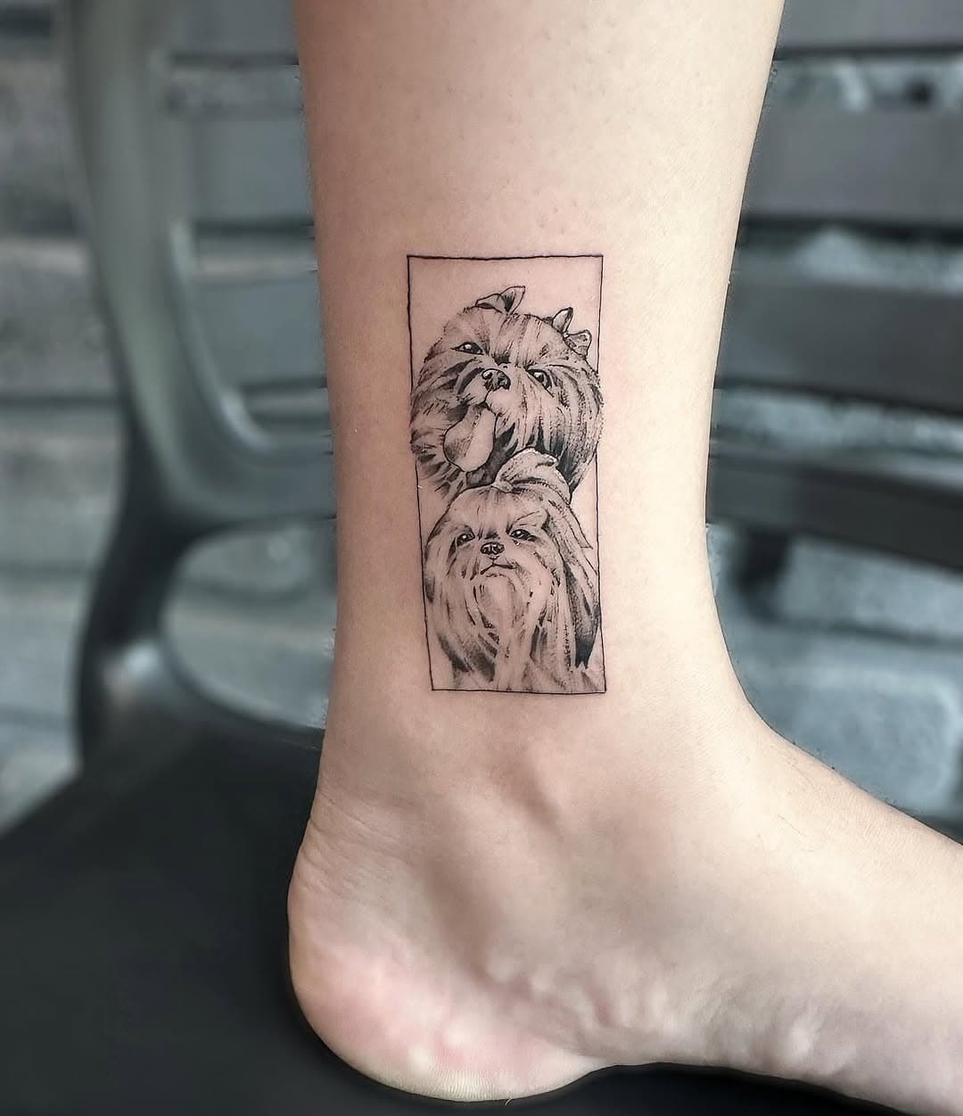 Eternizados na pele os amores de 4 patas da minha cliente Monaliza. Obrigado pela confiança! #tattoodog #tattoodelicada #tattoopb #tattoopet #tattoojp