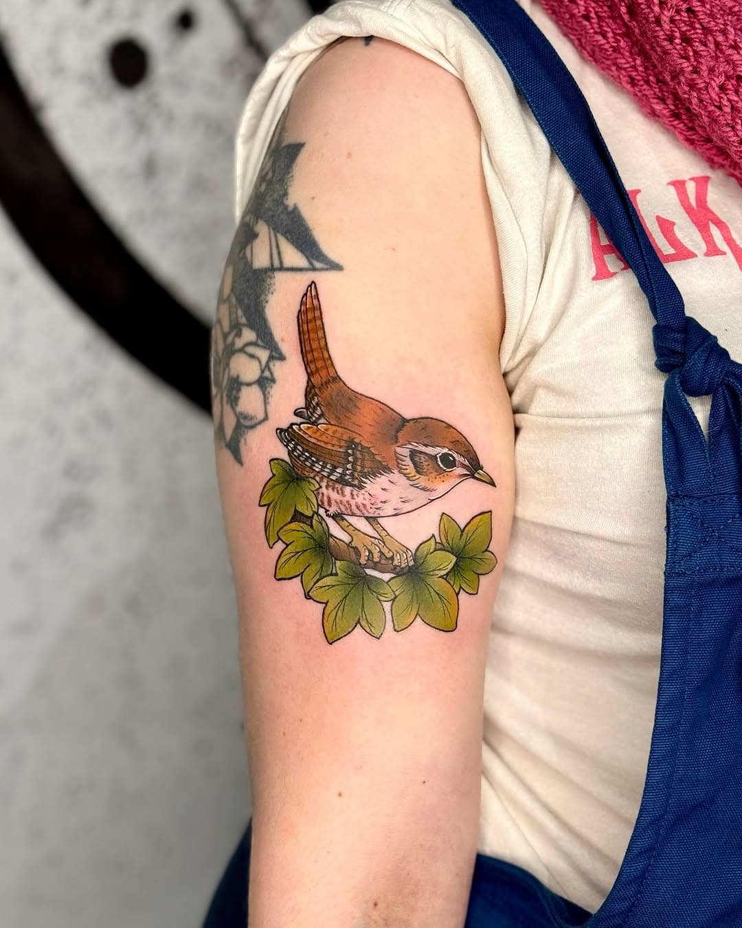 Wren & Ivy by @abiloveless 🍃🪶 #wrentattoo #neotradbird #neotraditionalbird #birdtattoo #ivytattoo