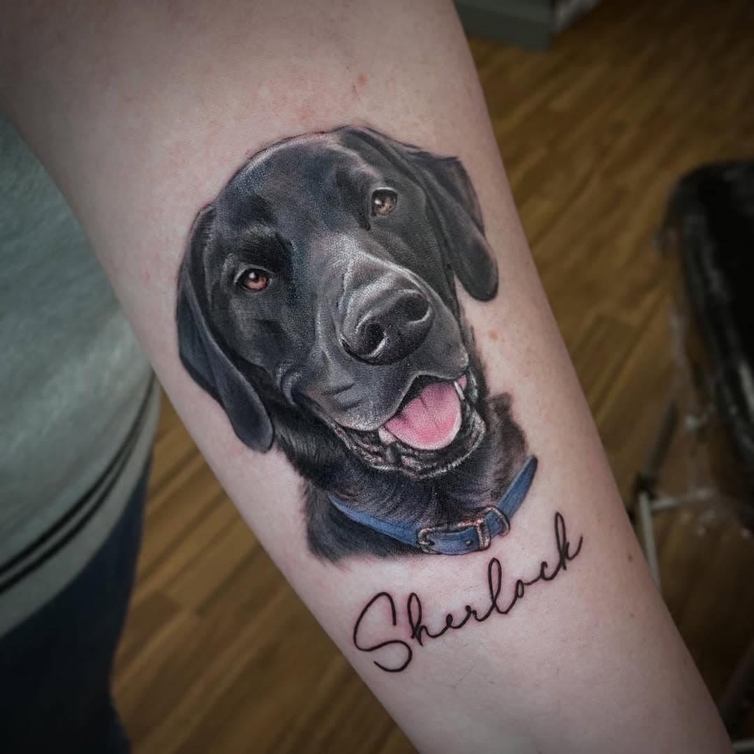 Sherlock! 🥹✨ thanks Hayley for your trust! 
I still in @watermelon_tattoo this month! Send a message to studio to book your slot! :) 
.
.
#doglover #doglovers #doglife #dogphotography #realismtattoo #edinburg