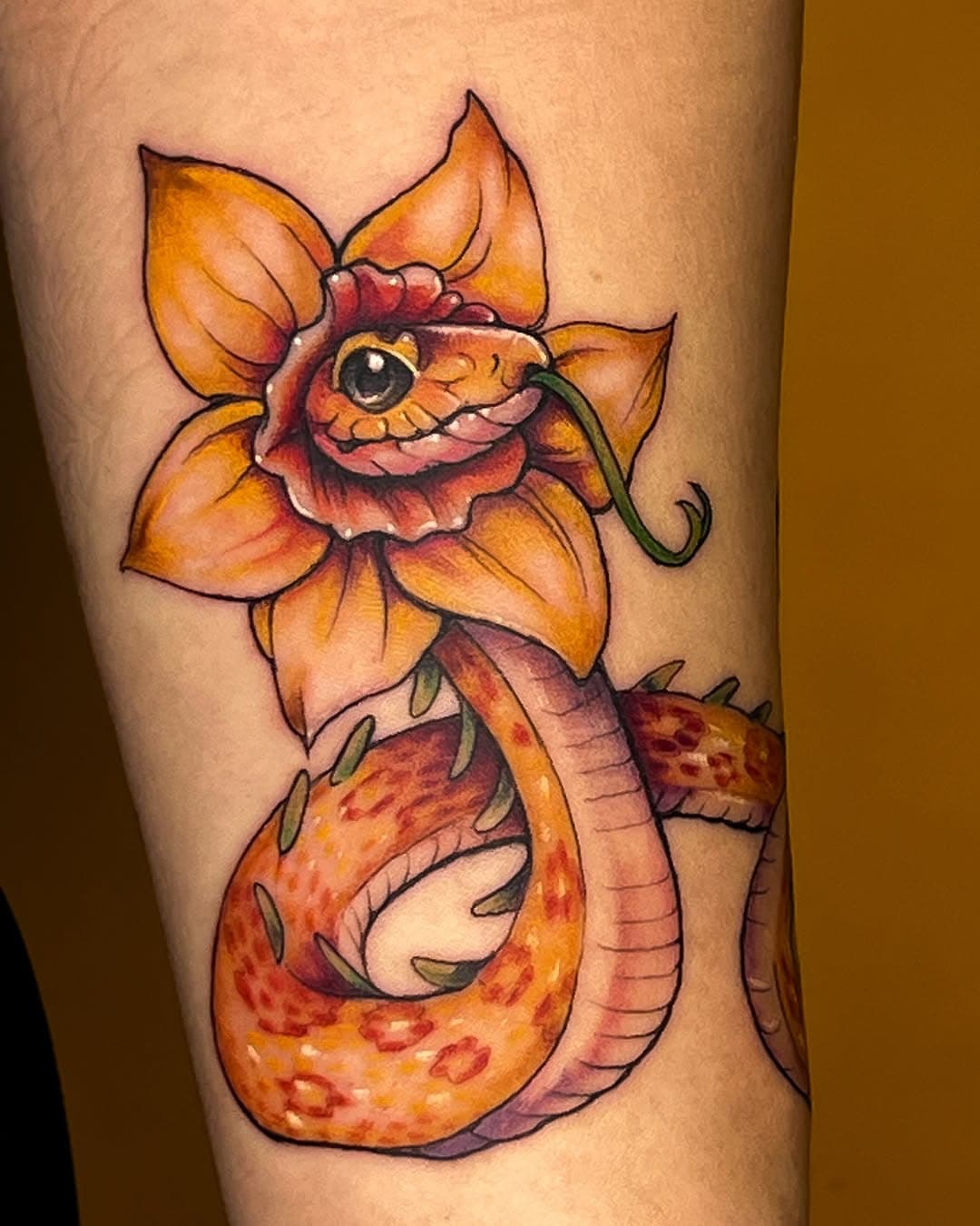 Cute little daffodil snake on @stephy_claire_ that we did back in Oct 2023 at @yardleytattoo. But I think this guy also gives big Valentines energy. 

Original art by @kaitlinhoyt (second image). She did a whole alphabet book of these and 100% hope someone pulls up with another. 

2-3 hours. Tattooed with love. 

#snaketattoo #flowertattoo #animalart #animalsketch #cuteanimals #nyctattoo #brooklyntattoo #berlintattoo #snake #snakesofinstagram #creaturedesign #creatureart #colortattoo #supercutetattoos #illustrativetattoo #valentines #valentinesday #valentinestattoo