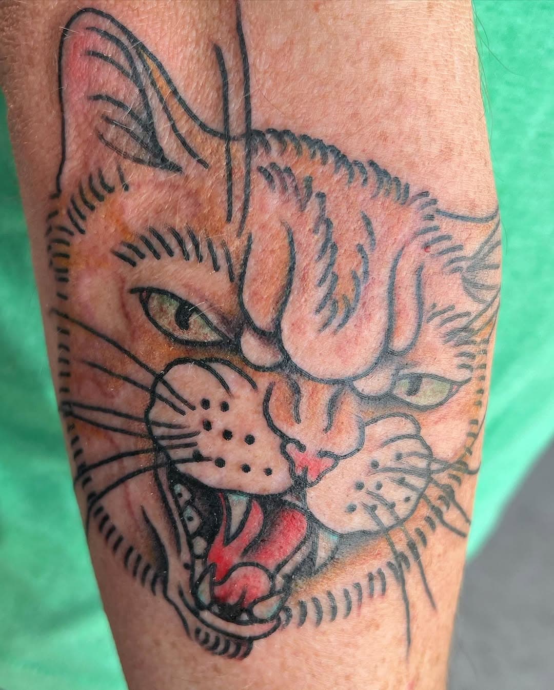 Orange cattitude by @smokingseagulls 
#acestattoo #reno #nevada #cat #tattoo