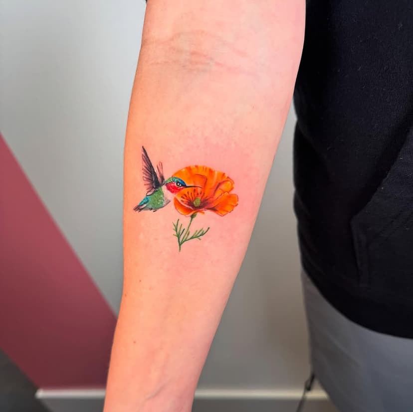 Hummingbird & California wildflowers 🌸