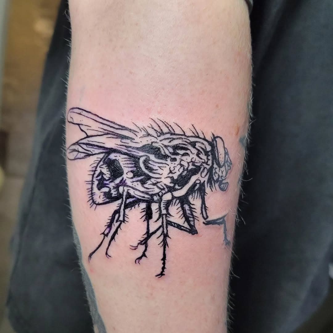 Fly tattoo by Seth Goodkind @sethbeastmeat at True Love Tattoo, 421 E Pine St, Seattle, WA. Email info@trueloveart.com or call 206.227.3572 to book.
.
.
.
#fly #housefly #flytattoo #houseflytattoo #bugtattoo #insecttattoo #tattoo #tattooart #tattooartist #seattletattoo #seattletattooartist #capitolhillseattle #truelovetattoo #trueloveart #tattoosofinstagram #tattooer #skinart #bodyart #instaink #ink #tattoodesign