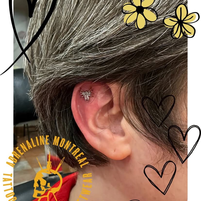 Flat Helix piercing with @invictus_bodyjewelry titanium spider.
Done by Sam (@stabber_sniper) 
.
.
.
.
.
#Adrenalinemontreal #adrenalinetattoos #tattoos #tattooshop #piercing #bodymodification #bodypiercing #mtl #montreal #safepiercing #montrealtattoo