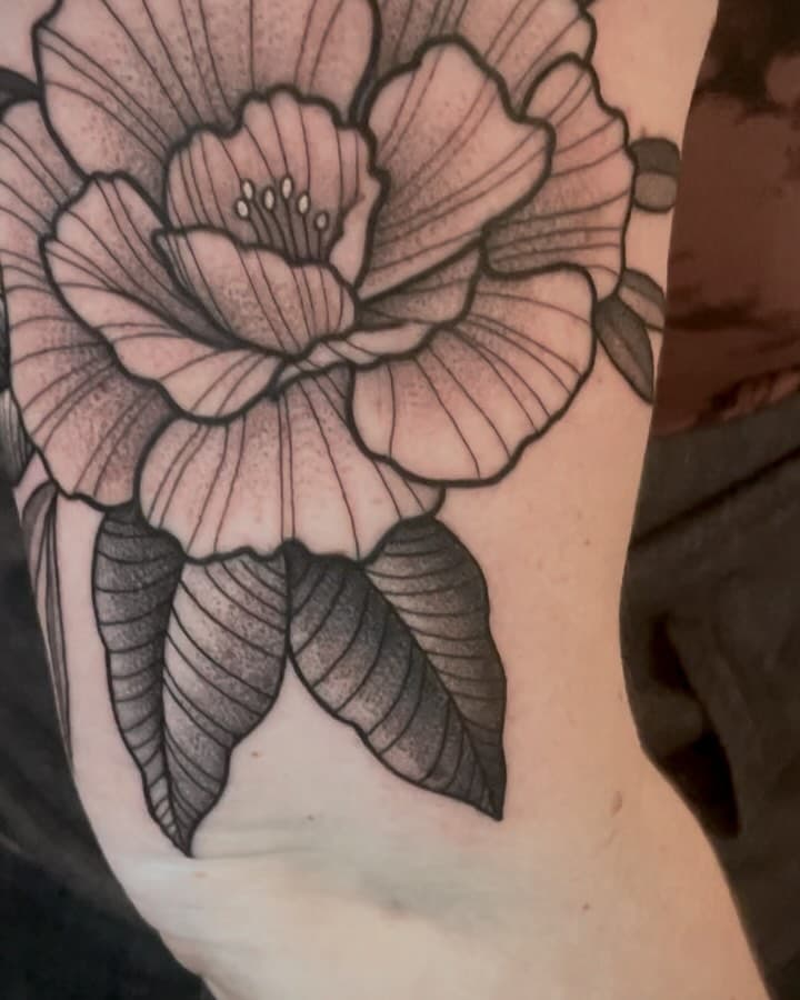 Floral blast over from today! Swipe to see the before! Thank you Nicole!🥰

If you are interested in working together you can submit an appointment request form in the link in my bio! Please direct message me with any additional questions. If you have submitted a form or messaged me over the last few days I will be getting back to you asap✨