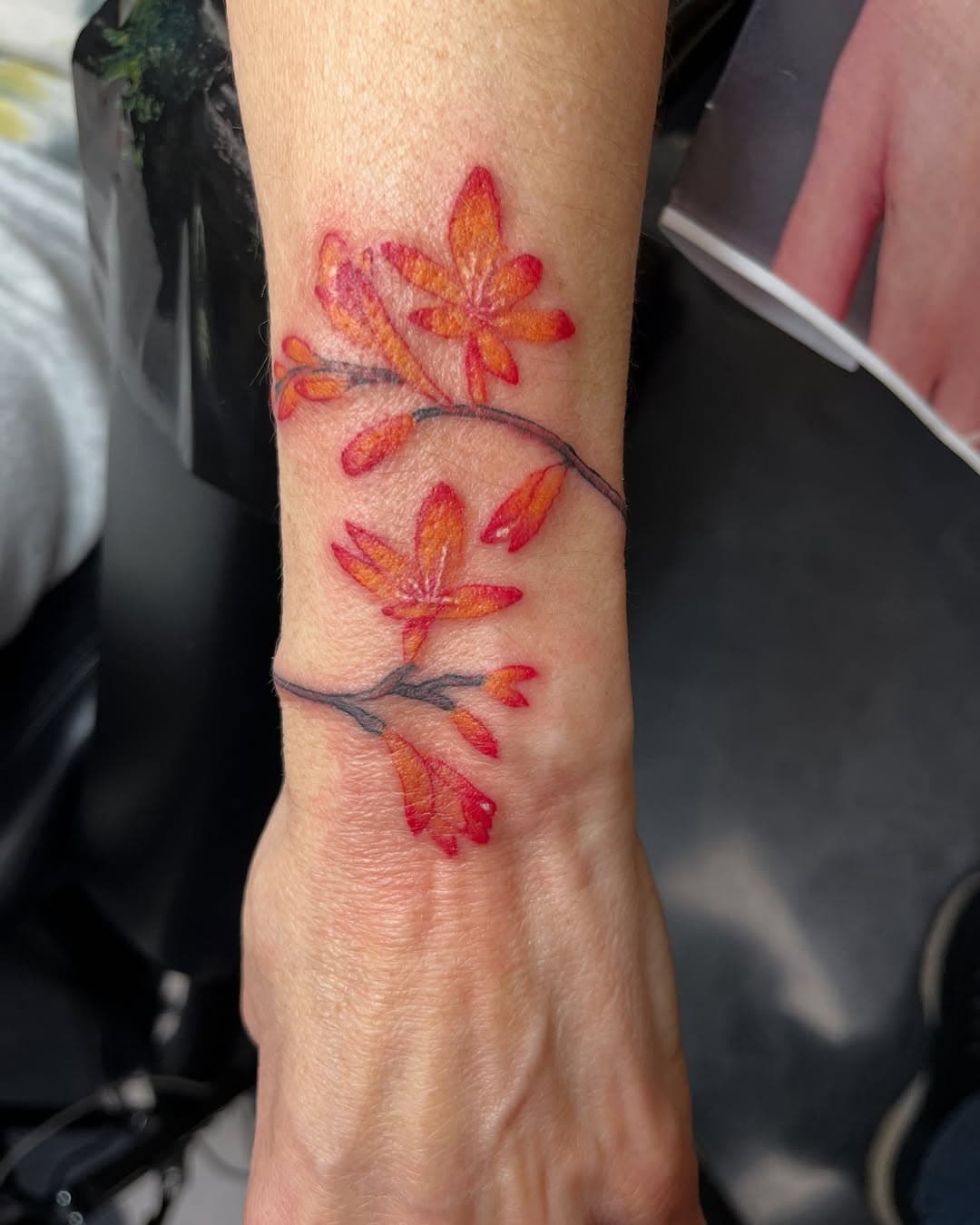 Some color work from today and healed humming birds #inknum#tattoo#inktattoo