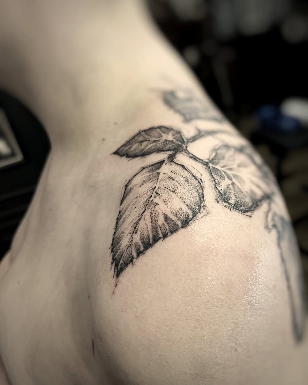 OH MY LEAVES
Zrobione @wciemnylas
#tattoo