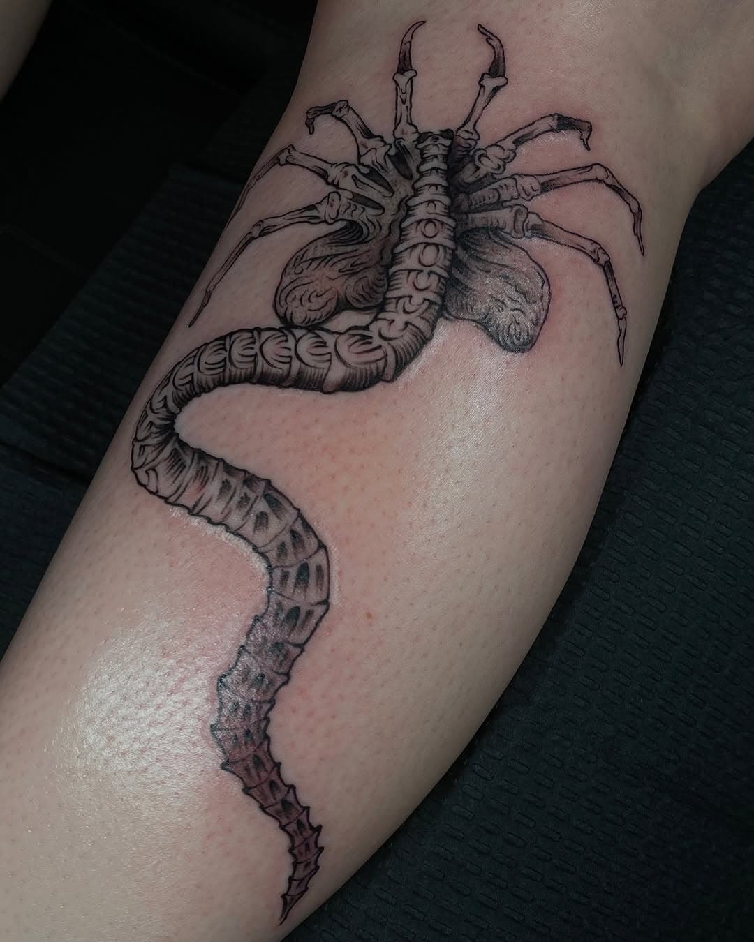 Face hugger by @inks_artica dm him directly to book!
✦
⋇
✧
⋇
✦
⋇
#tattoo #ink #houstontattooartist
#webstertexas #houstontexas #eternalink #gypsyrosestudio #texastattooartist #tattooer #houstontattoos #walkins #flash #tattooflash #leaguecity #friendswood #pasadena #webster #clearlake #houstontattoo #fineline #walkins