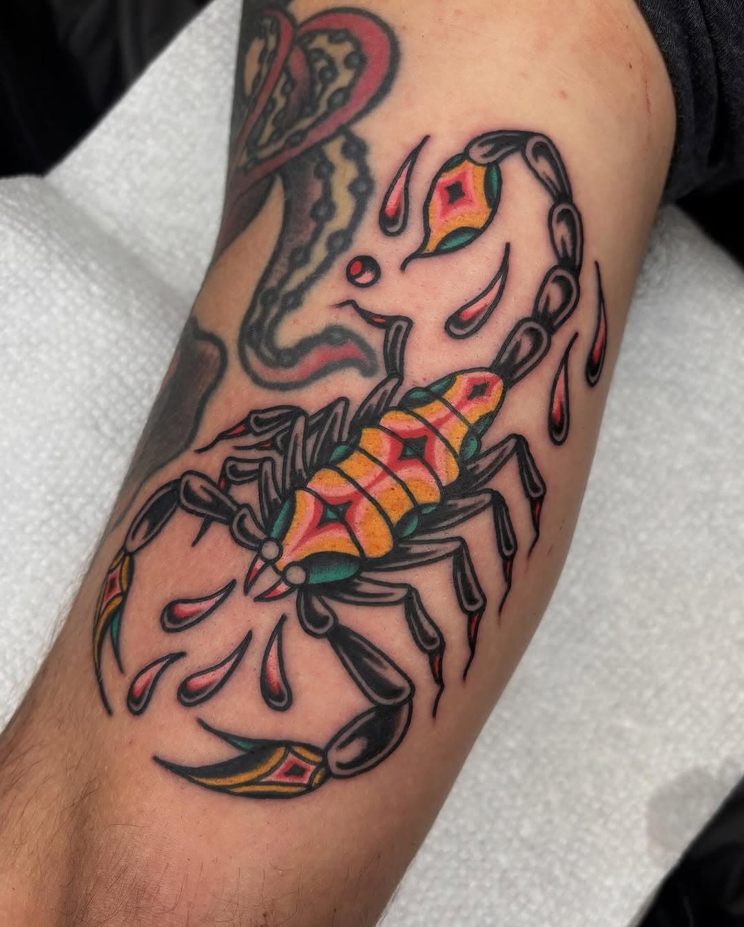 Flawless scorpion 🦂 by @chrisnaderertattoo