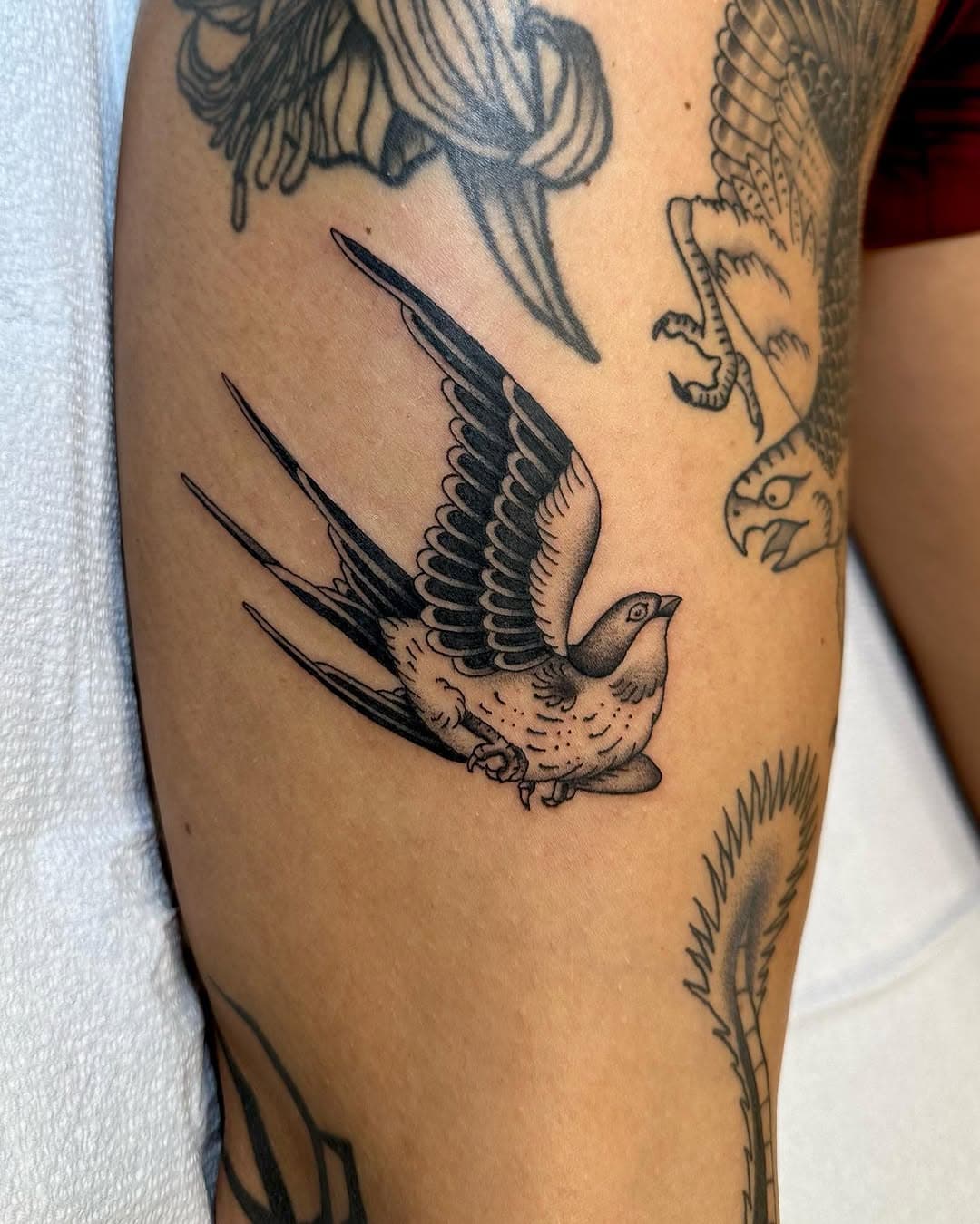 Swallow for Sydney done last week. I have some availability open this next week for your idea or mine! Thanks for looking. 🦅 

#victorytattoo 
#victorynashville
#tattoonashville
#nashvilletattooartist 
#explorenashville #nashville
#nashvilleexplorersclub
#instagramtennessee
#nashvilletattooshop
#tattooshopnashville
#topclasstattooing #nashvilletn #besttradtatts #besttattoos #real_tattoos #oldlines #americanatattoos #tattoodo #traditionaltattoo #goodtattoos #besttattoos #realtattoos #tattoo #tattooidea  #experiencenash #traditionaltattoos #tattoo #bright_and_bold #finelinetattoo #nashvillefineline