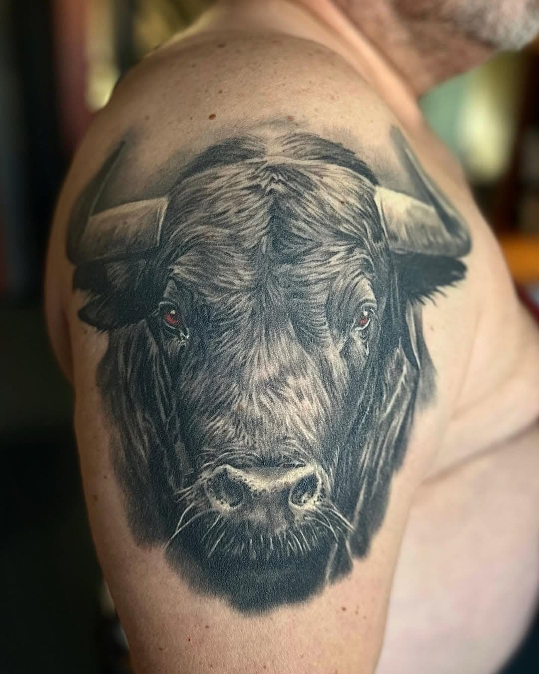 Tatuaż ma 2 lata. #bulltattoo #healedtattoo #realistictattoo #animaltattoo #tatuazewarszawa #tatuażerealistyczne #wygojonytatuaż