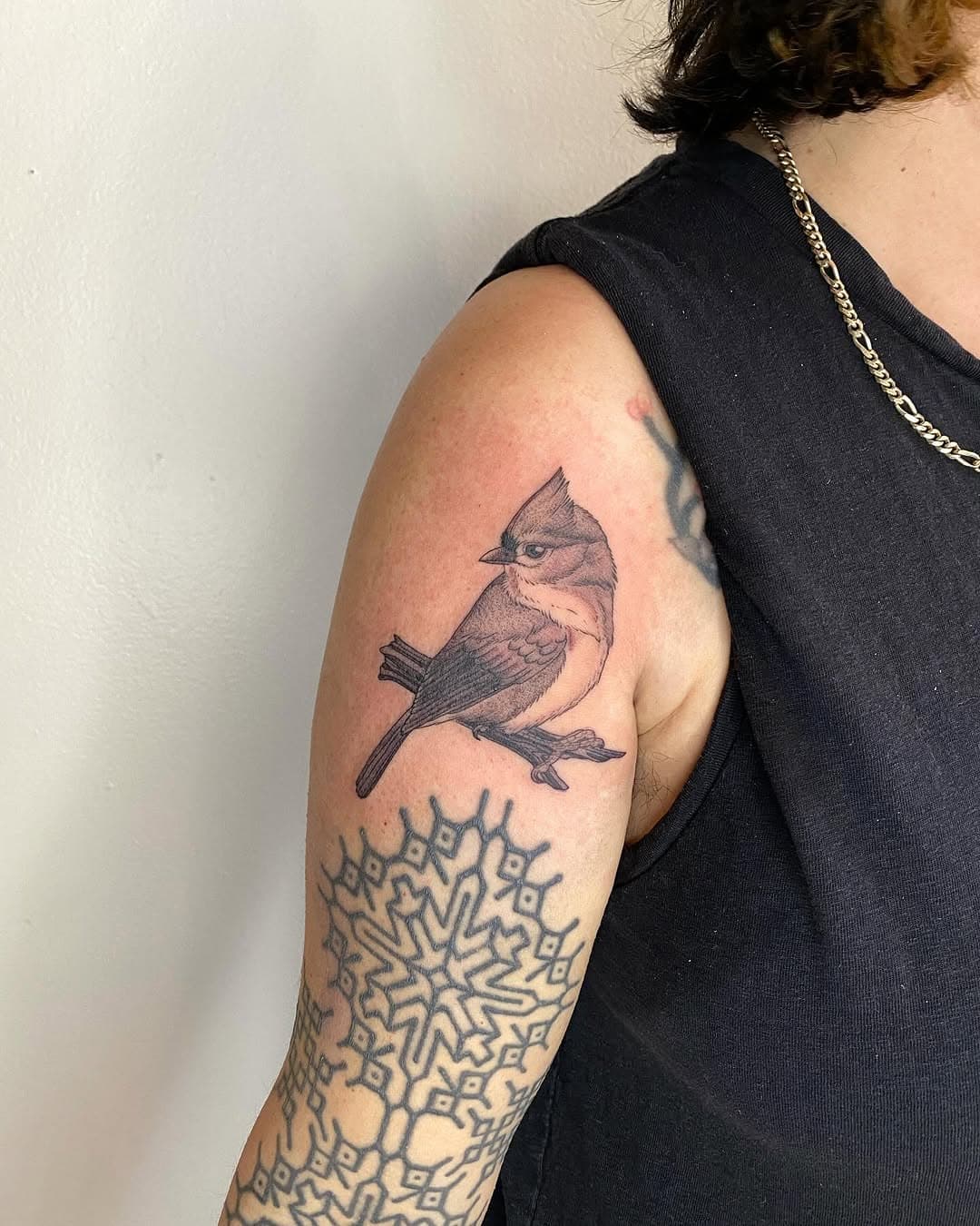 Tufted titmouse 🥰🥰🥰 Thank you Ivylise!