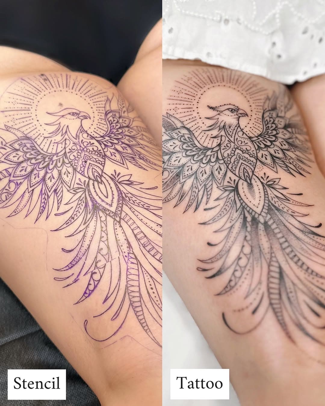 From stencil to tattoo ✨ What do you think of this phoenix ?

#phoenixtattoo #girltattoo #finelinetattoo #ornamentaltattoo #mandalatattoo #losangelestattoo #latattooartist