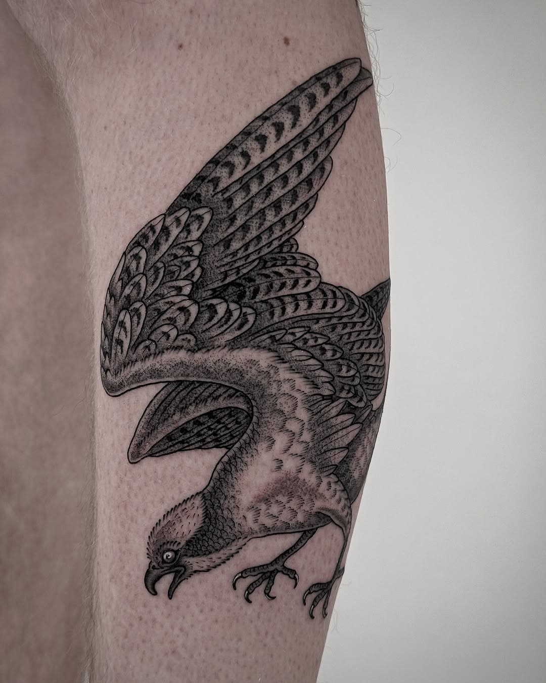 Osprey for Ben!! I am always on a mission to tattoo ALL your favorite critters. Airborne, sea dwellers, and everything in between. Spirit animals, power beasts, most favorite, most feared— you name it!!! 

Get at me for your new favorite tattoo 😉 

www.deanflashman.com