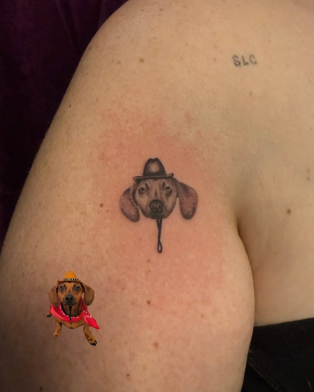 Tiny Pet Portrait 🐶
Thank you so much for the trust Alex and letting me do the little cowboy hat photo 🤠

#wienerdog #dauchshund #tinytattoo #petportrait #dogtattoo #pacificbeach #visitsandiego #sandiegotattooartist #sdtattoo