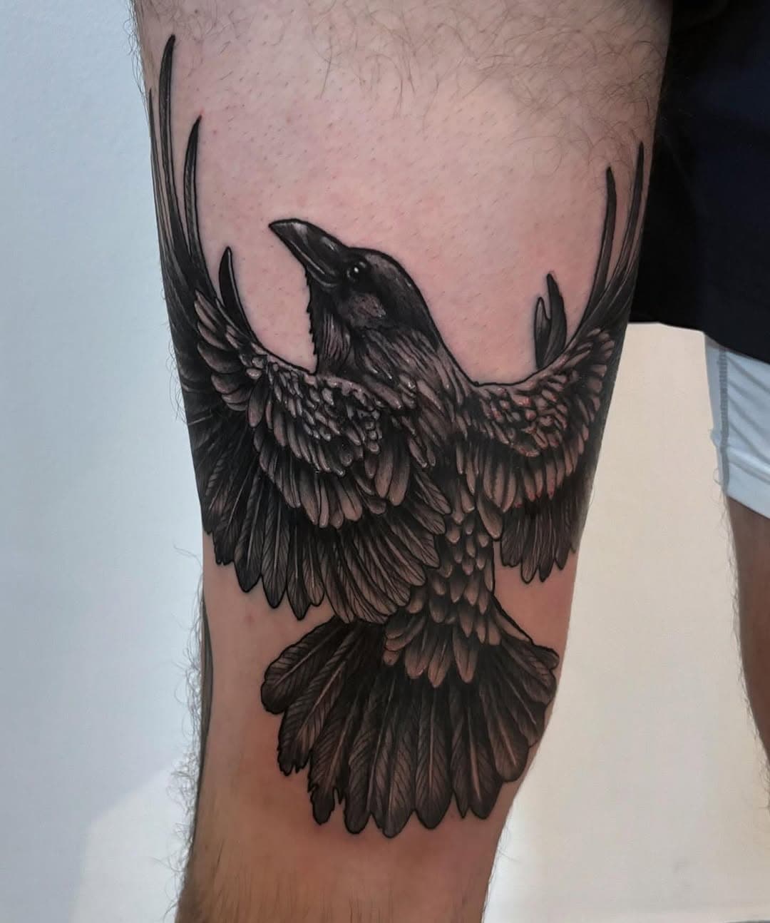 Top work by @stestansfieldtattoo . Contact directly for books !! 

#birdtattoo #birds #blackbirdtattoo #blackwork #tattooartist