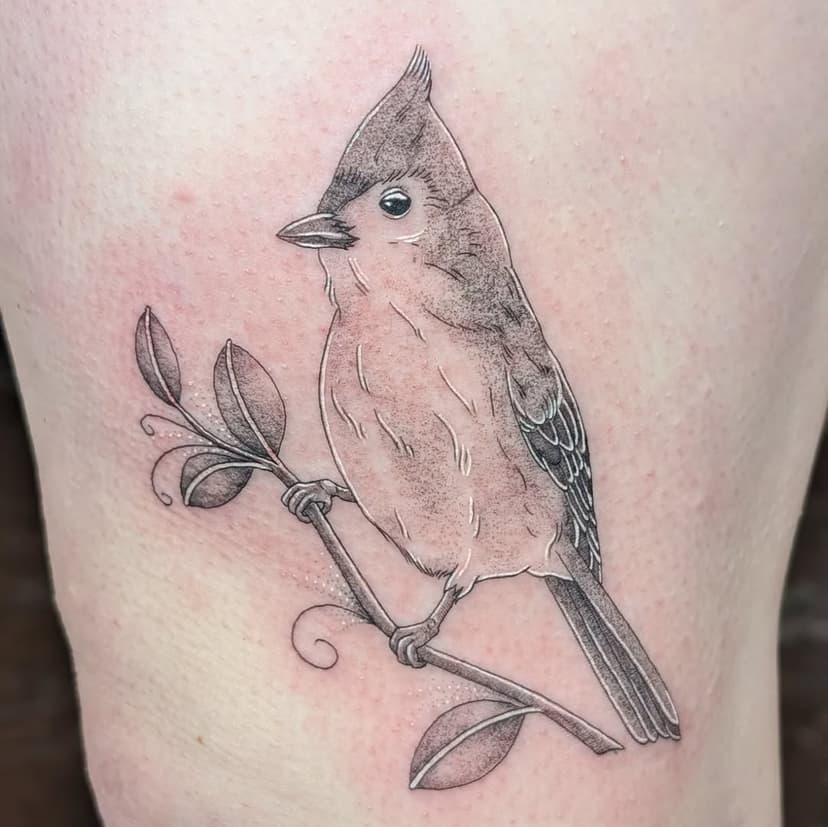 A little tufted titmouse from my most recent flash! A huge thanks goes out to Katie for getting this baby; I had such a fun time bringing it to life! I still have a whole bunch of designs looking for a new home that I would love to do 🥰✨

Currently booking early April! Please stop by the shop or fill out an inquiry if you're interested in booking with me.

#tattoos #femaletattooartist #michigantattooers #birdtattoo #fineline #stippletattoo #february