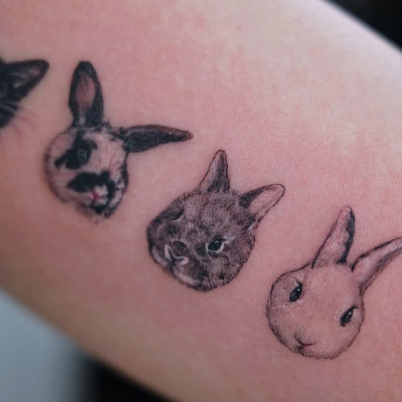 🐱🐰🐰🐰
Mini size pet portraits in color