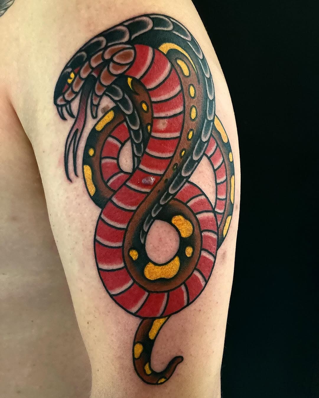 Cobra for top dps Valdemar. Thanks homie ⚔️

Done @brightsidetattoocph 

#tattoo #tattoodesign #sketch #art #drawing #neotraditional #neotrad #traditionaltattoo #copenhagen #copenhagenart #copenhagentattoo #tattoostagram