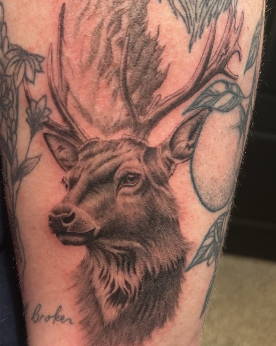 Loved the challenge in doing a stag 🦌 
.
.
.
.
.
.
.
.
#art #ink #tattoo #blackandgrey #realism #realismtattoo #deer #deertattoo #stag #stagtattoo #maine #maineart #maineartist #portlandmaine #portlandtattoo #fur #furtexture