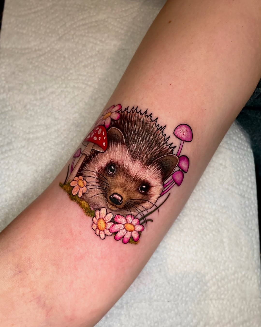 still shots of this cutie little hog for the lovely Lily 🦔🌸 x
.
.
spons by @butterluxe_uk @killerinktattoo @xtremetattooink @magicmoon_tattoo_supply