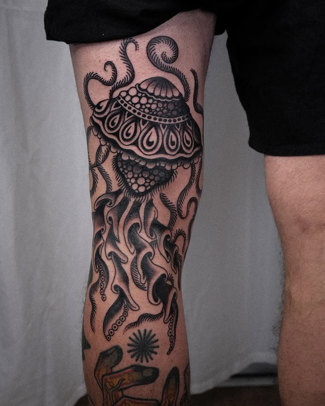 Jellyfish for Paddy

#jellyfishtattoo #mannheimtattoo #hamburgtattoo #berlintattoo #blackandgreytattoo