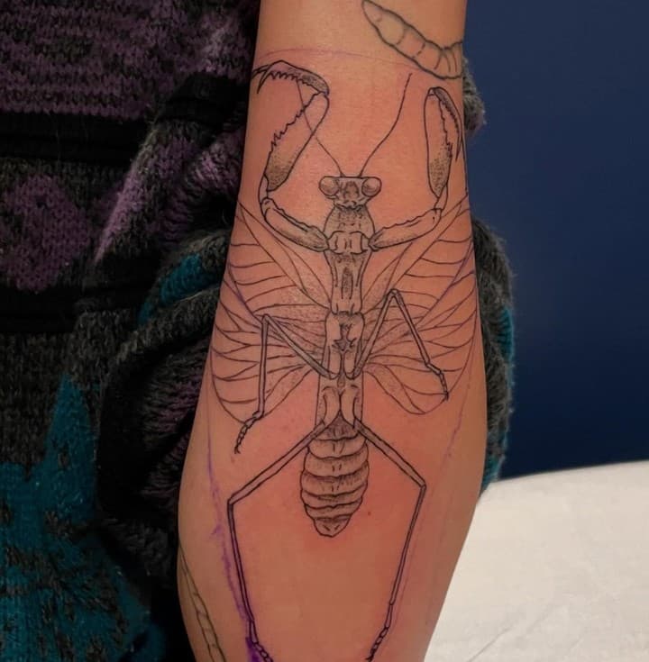 Praying Mantis piece by Naomi @modiphromantium

They are accepting bookings now! DM, email, or their link in bio to book any custom design or flash, but ESPECIALLY any bug designs you may want!
______________________________________________________________________
#bugtattoo#mantistattoo#prayingmantistattoo#prayingmantis#bellinghamtattoo#insecttattoo#prayingmantis#wwutattoo#bellinghamtattooartist#pnwtattoo#naturetattoo#finelinetattoo#bellingham#bellinghamwa