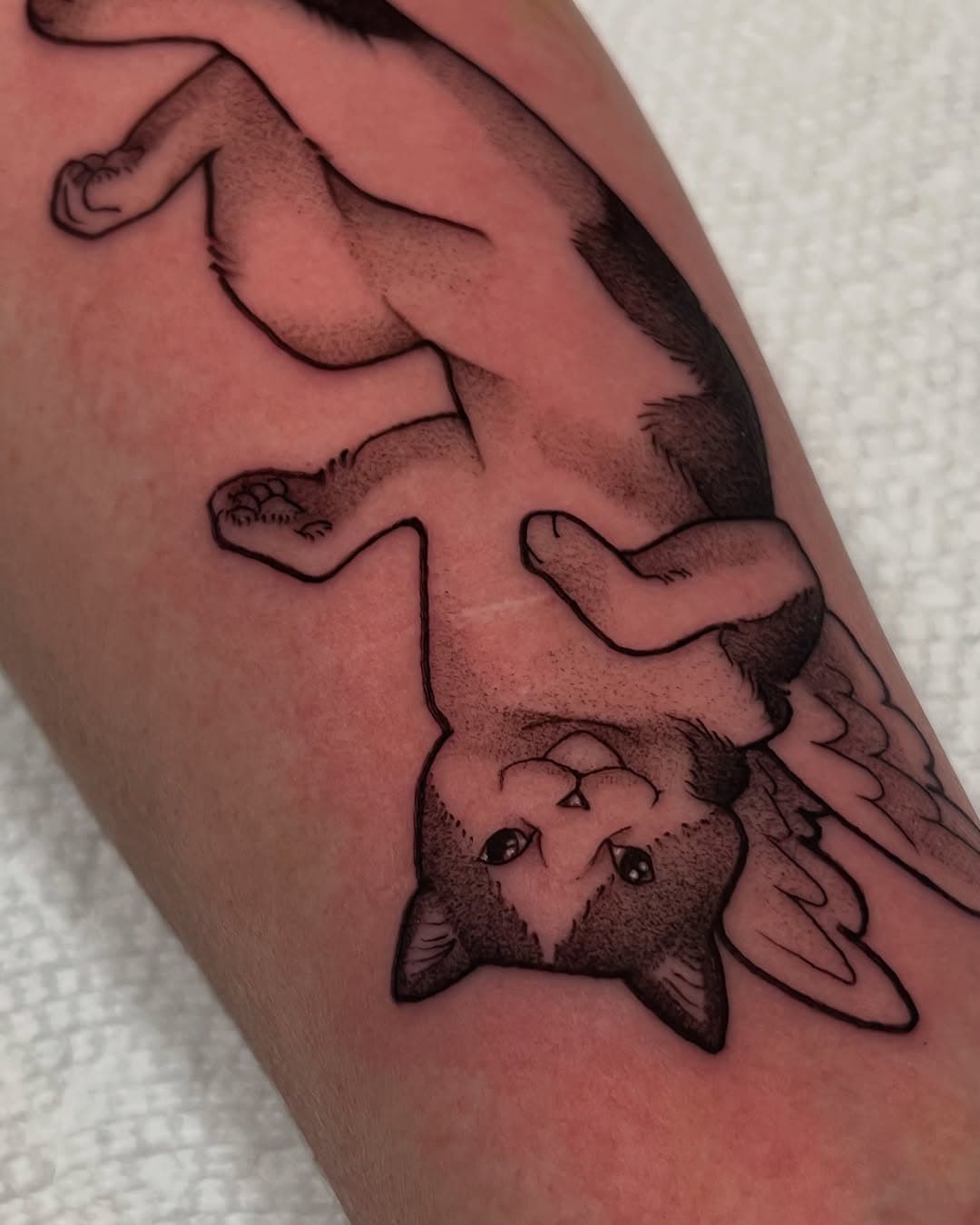 🐱👼 
@iloveyou.tattoo 
#tattoos