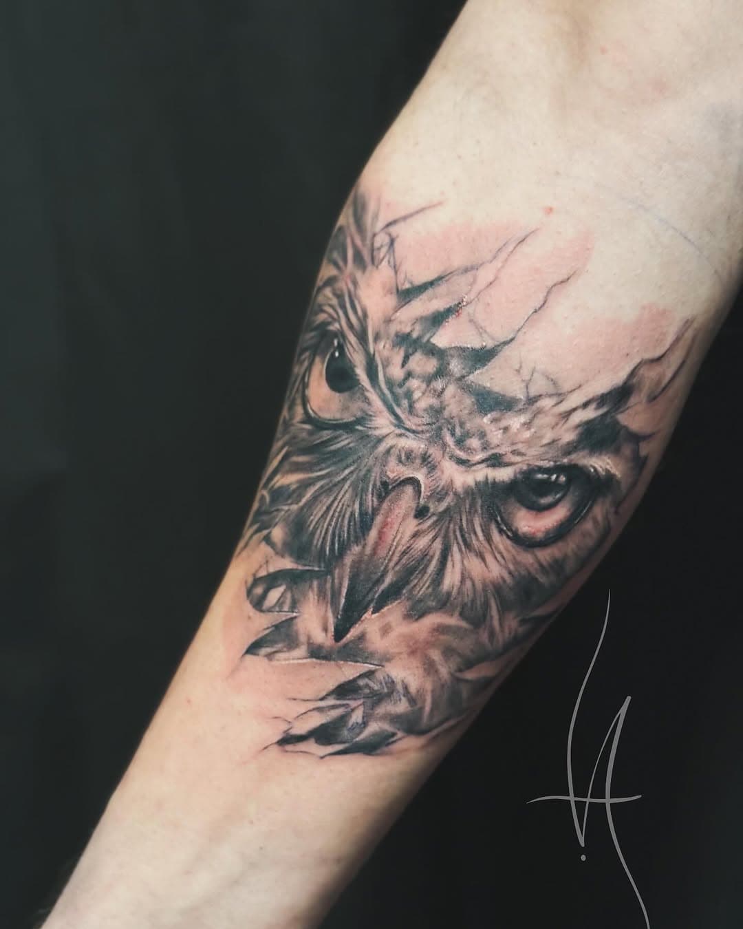 #tattoo#owl#realistic#undertheskyn#amnimaltattoo#guytattoo#graywashtattoo#ideaatattoo#
.
.
.
@fluidtattoomachine 
@pantheraink 
@sknworksuk 
@appletattoolab