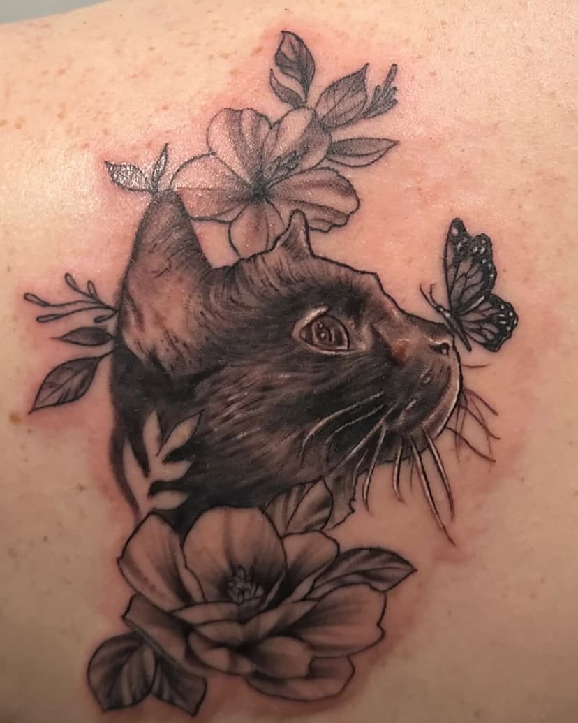 A lil kitty from today