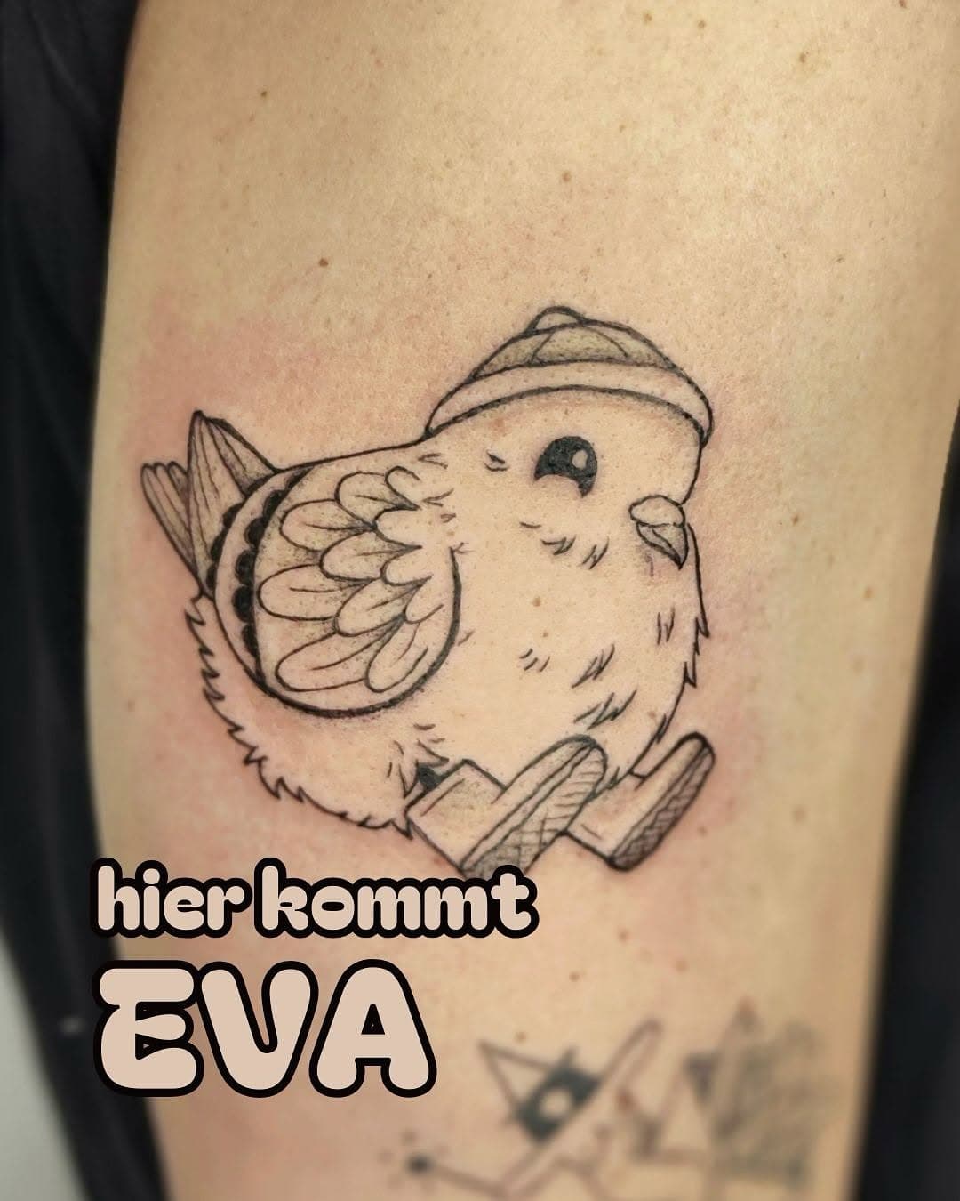 E V A 

@ees_tattooing 

Euer Ticket für Cuteness Overdose

Termine einfach direkt mit ihr ausmachen ❣️

#cuteanimals #cutetattoo #tattoohamburg #tattoo