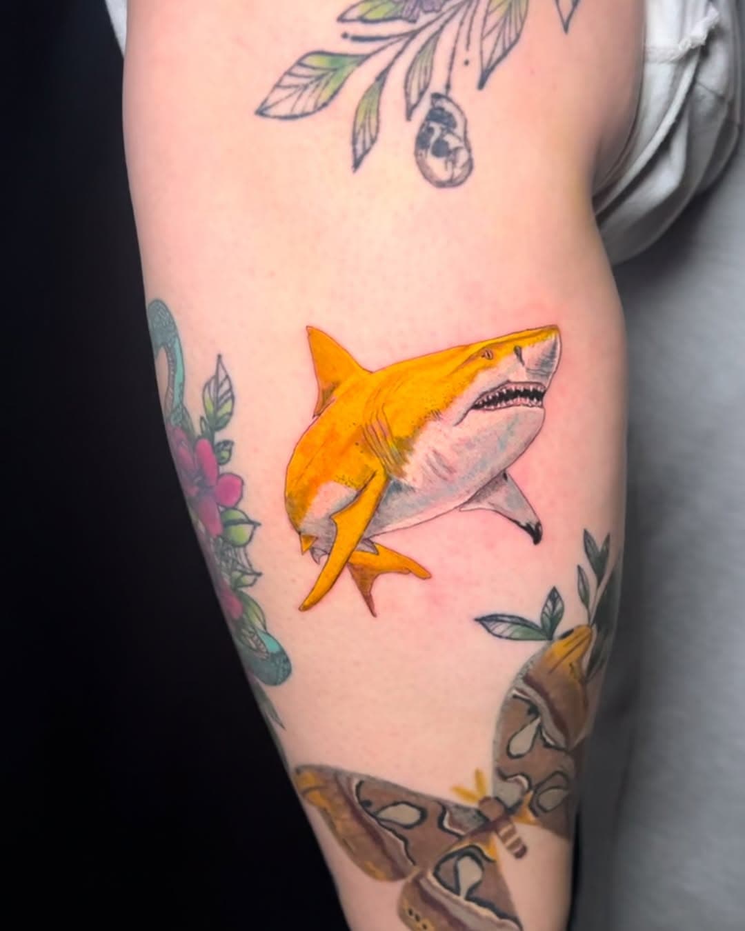 🦈 Shark by @madihooze 

#tattoo #tattoos #tattooshop #expressiveink #tattooartist #shark #sharktattoo #colortattooartist #artist #femaletattooartist #newjersey