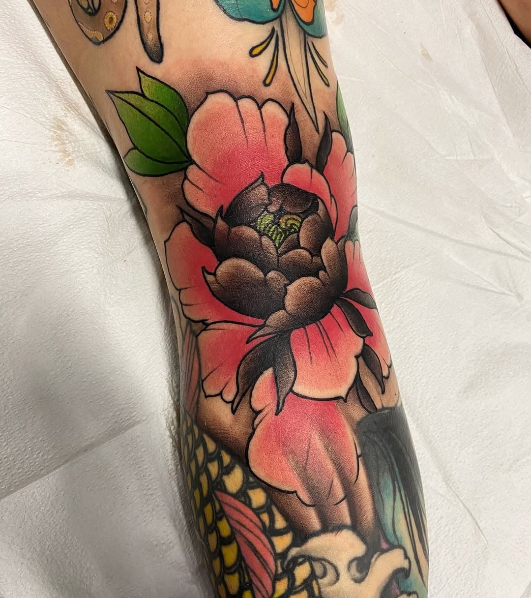 Peony in the knee ditch. @bri_elzebub did great sitting through this. Keep these color pieces coming please! 

Done @1912tattoo PHX•AZ 

#neotrad #neotraditionaltattoo #peony #flower #1912tattoo #greyxhope