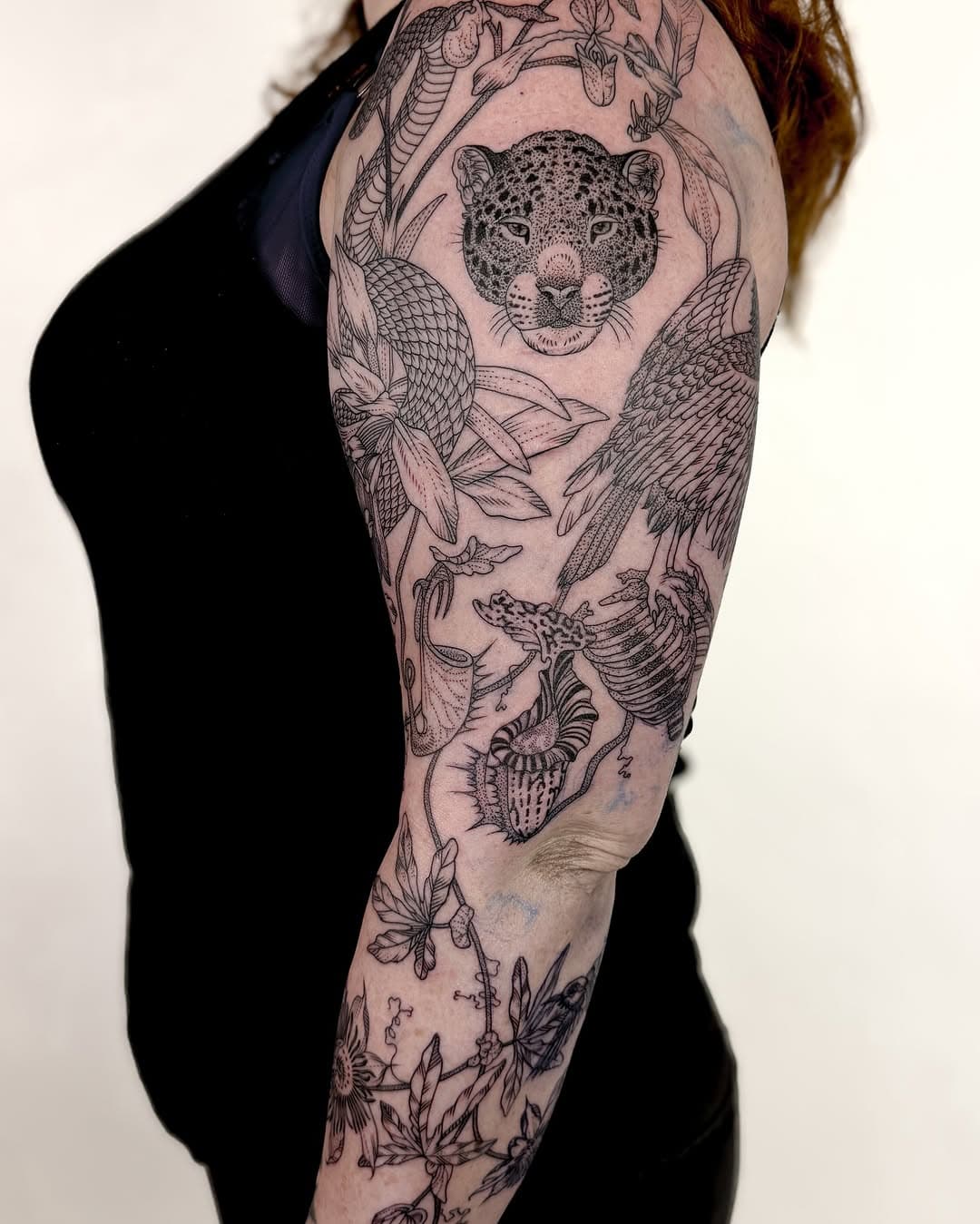 Rainforest sleeve featuring carnivorous pitcher plants, passionflower vines, orchids, jaguar, pit viper, condor, and hummingbirds. 

@tenderfootstudio in Brooklyn, NYC
.
.
.
.
#blackworkerssubmission #skinartmag #blxckink #blacktattooart #btattooing  #tattoodo #engravingtattoo #equilattera #geometrytattoo #nyctattoo #newyorktattoo #brooklyntattoo #naturetattoo  #iblackwork #planttattoo #flowertattoo #floraltattoo #botanicaltattoo #lovettt #darkartists #tonoinsptattoos #tatuajes #tattoos #tttism #latattoo #sftattoo #chicagotattoo #qttr