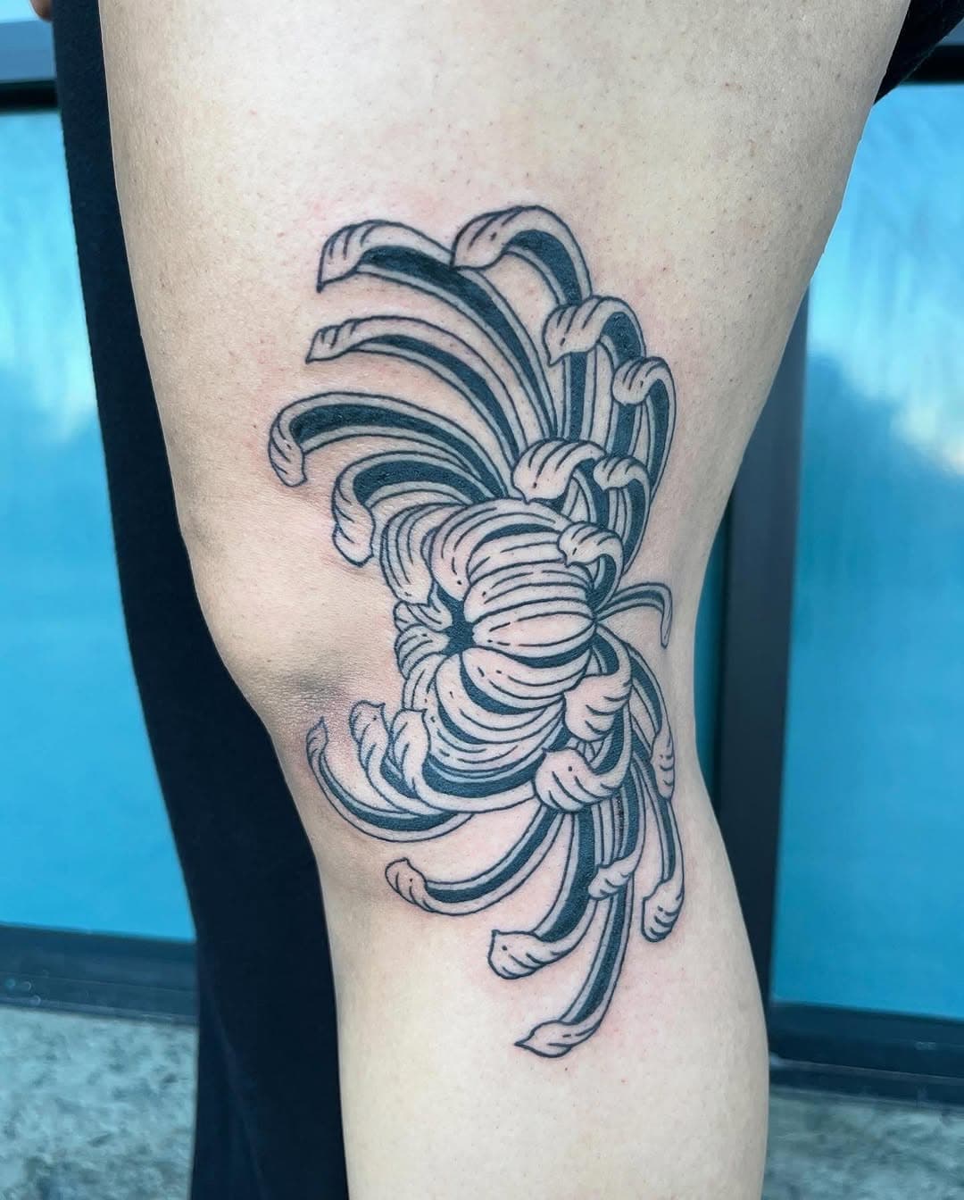 loved doing this knee chrysanthemum today🫶

#chrysanthemumtattoo #kneetattoo #legtattoos #etchingtattoo #woodblocktattoo #lineworktattoo #lasvegastattooartist