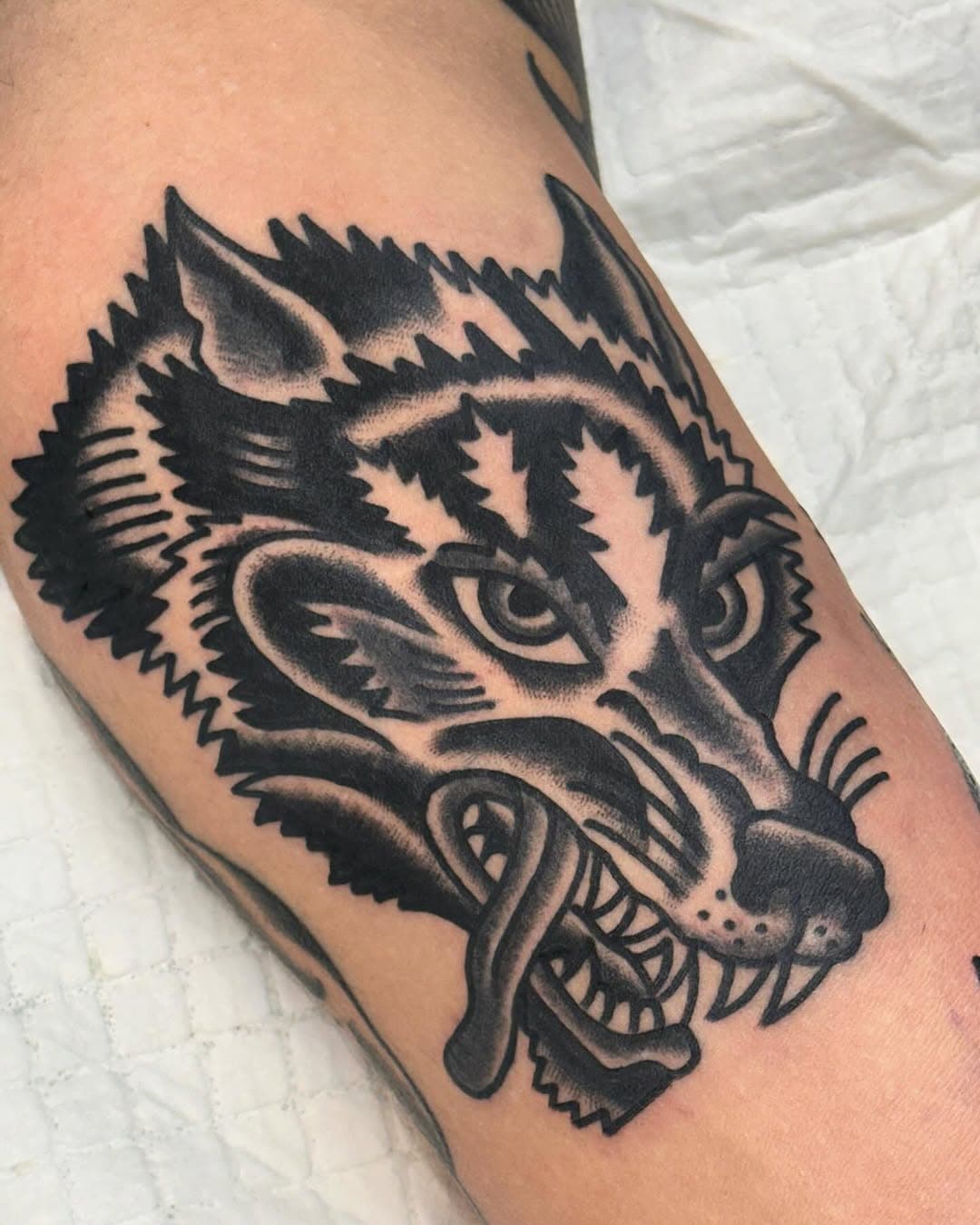 Wolf head from my flash for Tristan @tattoorosies using @roseneedlesbyjustat