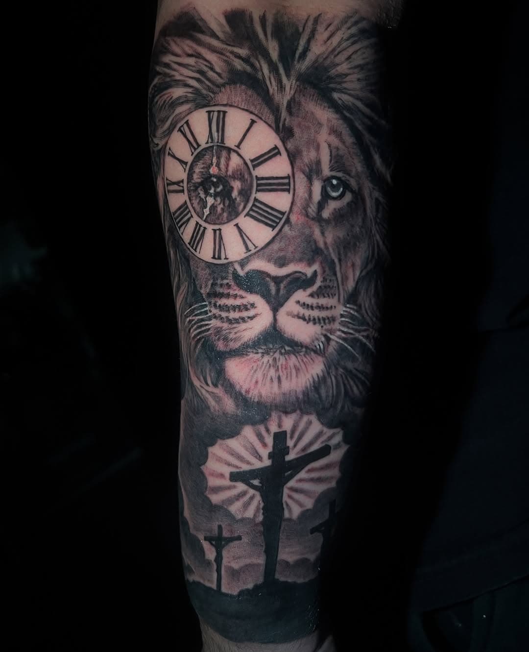 Todays Work 🦁