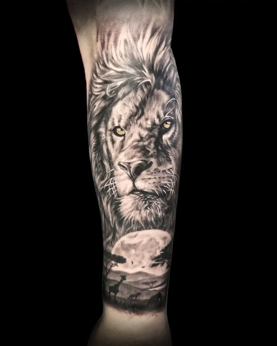 A forearm piece for a nice client!
Thanks Sunny very much!

#gravitNeedles #cheyensnesolnova #intenzetattooink #eikondevice #tuanvotattoo #aktuanvo #details #yegtattoo #tattoo #backtattoo #zuestattoo #realistic #edmonton #liontattoo #blackandgrey #blackandgreytattoo #inked #trending #tattoolife #amazingink #sleevetattoo #realistic #tattooartistmagazine #yegtattooartist  #edmontonartist #yegartist #art #artistedmonton #edmontontattooartist