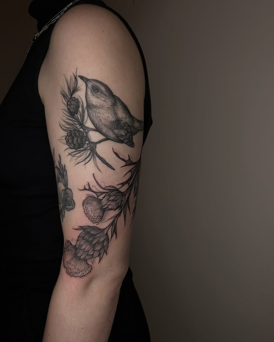 Thistle and bee for Mira 🧡🧡🧡 Birdie on branch from a few months ago