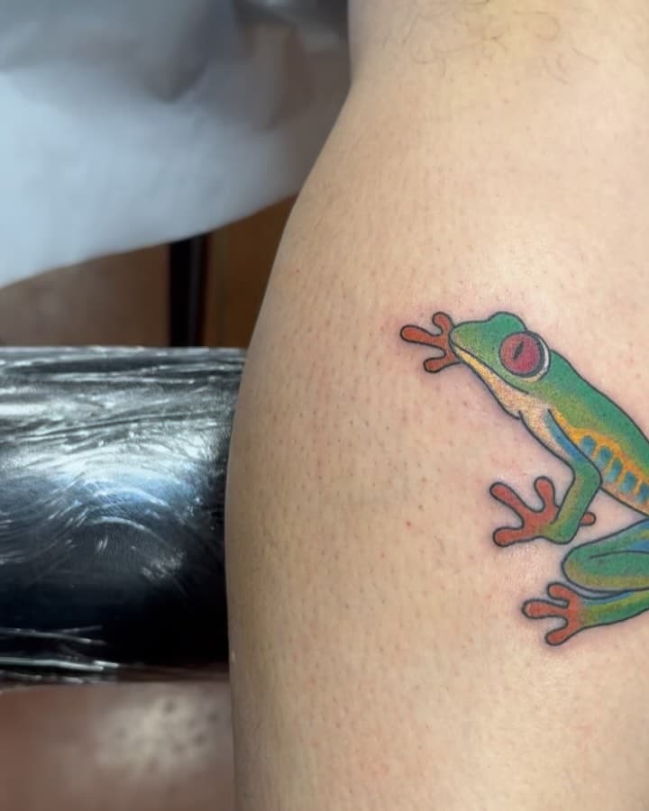 Frog . VIVA LA VIDA!!!!!!!

Thank you 🙏 @santiagohernandezesc