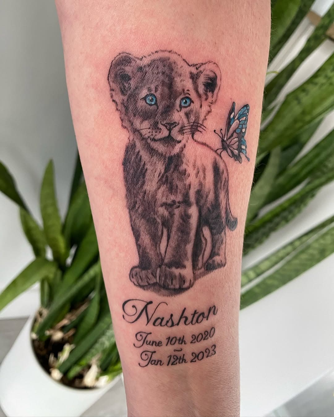 Katrina was so honoured to create this memorial for a little one who will always be remembered 🌹Grateful for the trust to preserve their memory in such a meaningful way. 🦁🦋🩵